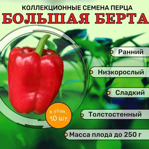 ���� ������������� ������ ����� �������� ������� �����