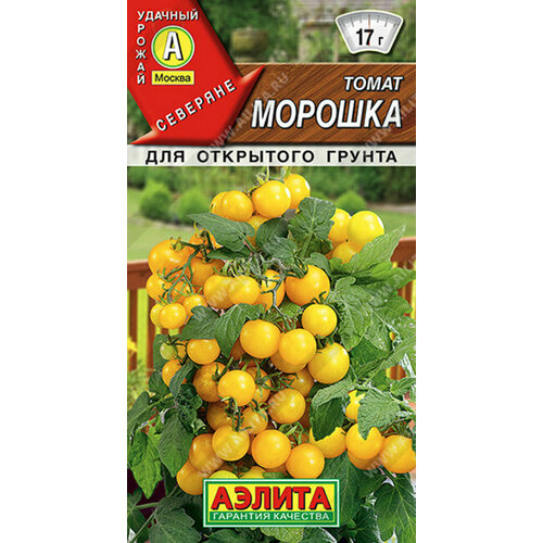 ���� ������ ����� ������� ����� 20�� ��� ������ (������)