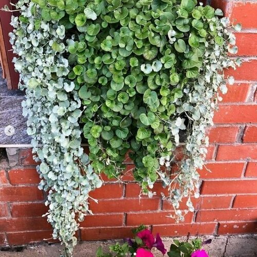 ���� ����� ����� - �������� ���� ������ 2 � 1, ����������� ������� ���������� � ���������� �����, ��� ������������� ����������, 6 �����������, 30-42 �����