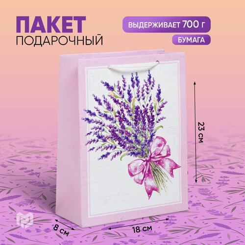 ���� ����� ���������� ������, 18 ? 23 ? 8 ��