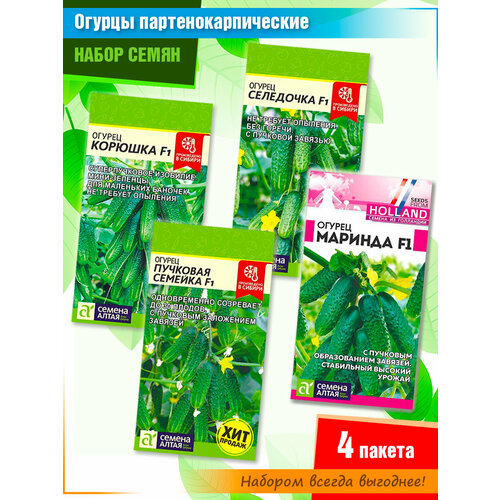 ���� ����� ������������������ ������� �� ������ ����� (4 �����)