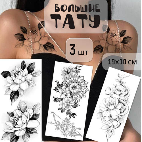 ���� ����� ������� ���������� ���� 3 ����� (19�10 ��). ���������