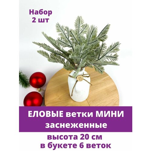 ���� ������ ����� ����, �����������, ����� 20 ��, ����� 2 ��.