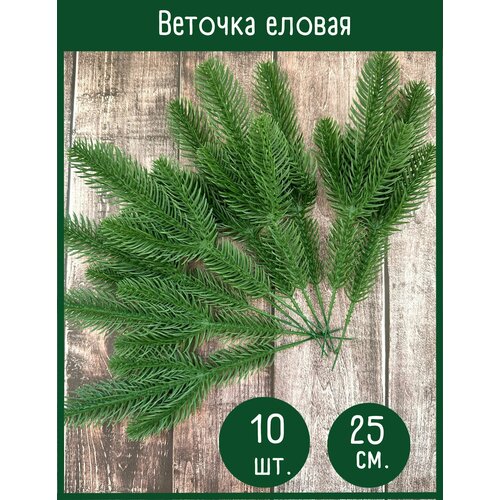 ���� ������ ����� ������������� (������ �����) 3 ����� �� �����, 25 ��. ����� ������, ����������, 10 ��.