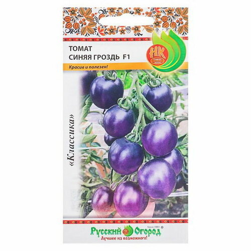 ���� ������ ����� 