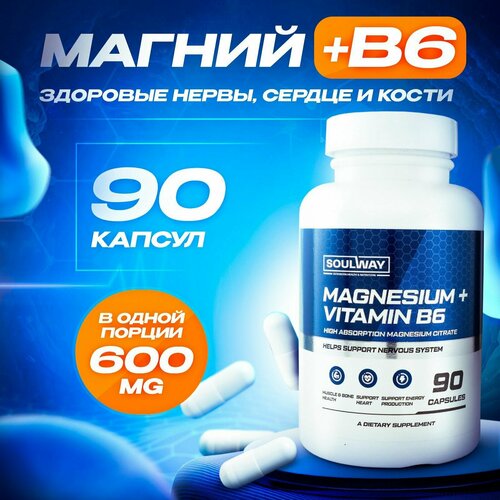 ���� ������ ������ � ��������� B6 600 �� � ������