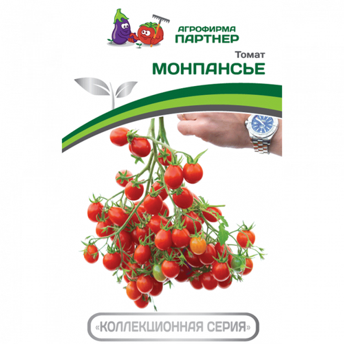 ���� ����� 