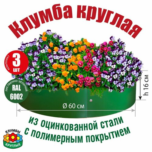 ���� ������ ������� ��� ������ ����������� ������������ ������� / ���������� ��� ������� ������