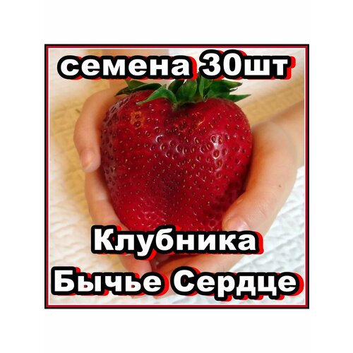 ���� ������ �������� ����� ������ 30��