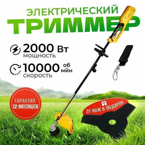      Partner for Garden  2000 2000 ,  3 ,     -     , -  