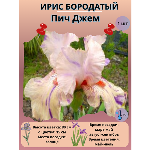 ���� ���� ��������� ��� ����, ����������� �����