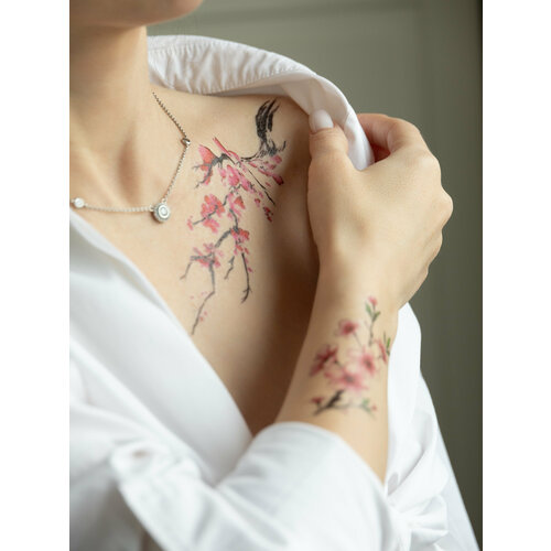 ���� ��������� ���� ������