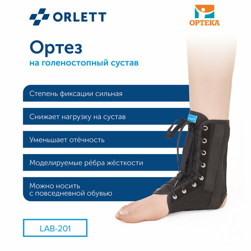   Orlett     LAB-201,  XL,   -     , -  