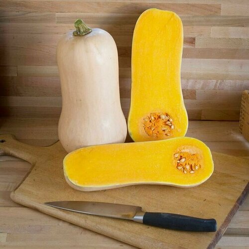 ���� ����� ��������� ������ F1, ����������� ������ ��������� ����������� �����, ����� ��������� �� 7 �������, 4 �� �����