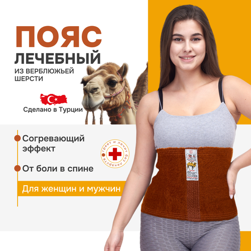 ���� �������� ���� �� ���������� ������- ����������� ���� MORTEKS