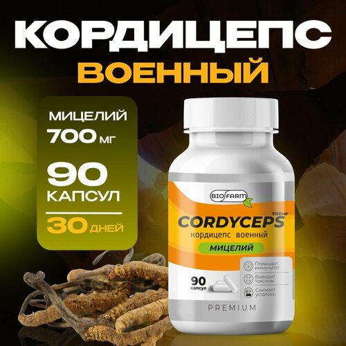 ���� ��������� ������� � �������� 700��, �������� ��� ���������� � ������