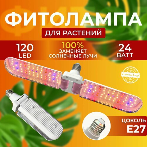             ,   120 LED 24   -     , -  