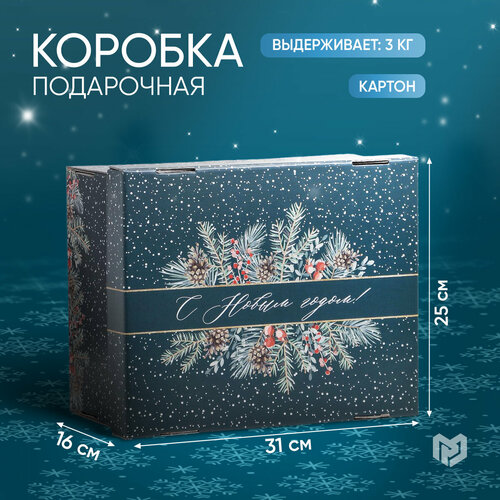 ���� ������� ���������� �� ����� �����, 31,2 � 25,6 � 16,1 ��, ����� ���