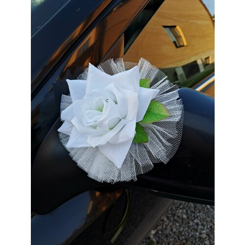 ���� ��������� ��������� �� �����(�������) ����������