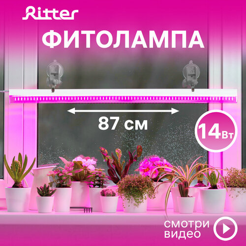       5 Ritter PLANTA, 14, 8802334,  2,   ,  ,    ,    , 56297 9  -     , -  