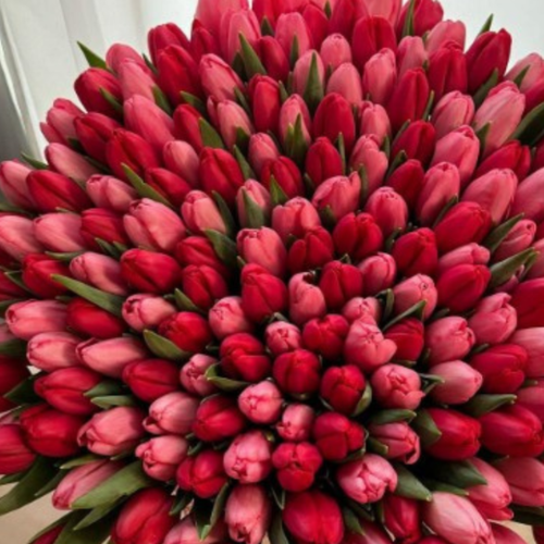 ���� �������� RED MIX (10 �������)