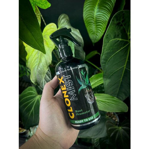      Growth Technology Clonex Mist 300 .  -     , -  