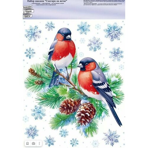 ���� ���������� �������� �� ���� 