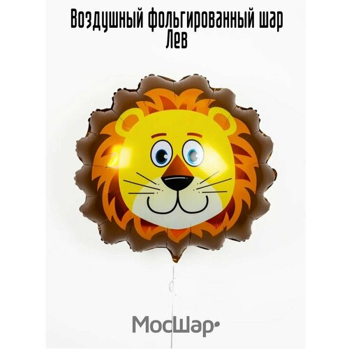 ���� ��������� ��� �������������� ������ ������ ����