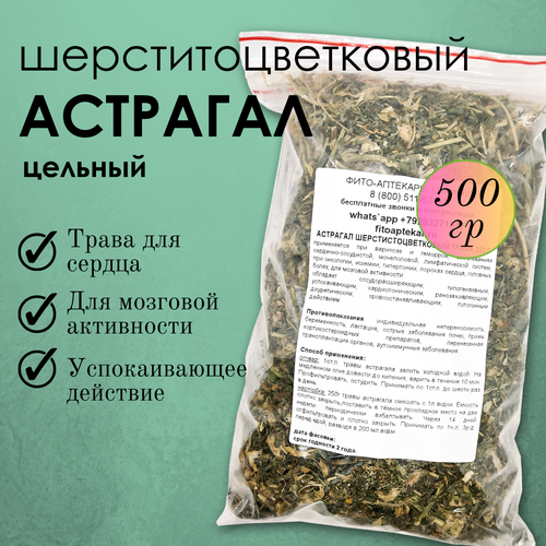 ���� �������� ������������������ - ����� ��� ������ � �������, �������, 500�