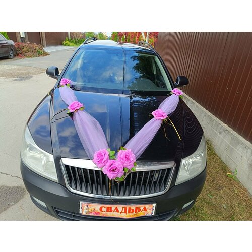 ���� ��������� ����� �� ����� ����������