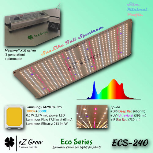  Quantum Board EZG ECS-240 -     (240)