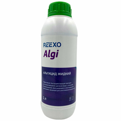      Reexo Algi       , 1 ,  -  1   -     , -,   