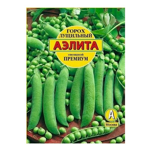 ���� ����� ������� 25� ������