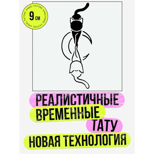 ���� ���� ���������� �������������� �������� �����