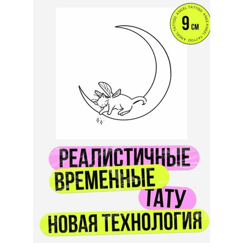 ���� ���� ���������� �������������� �������� ���������