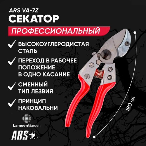      ARS VA-7Z   -     , -,   