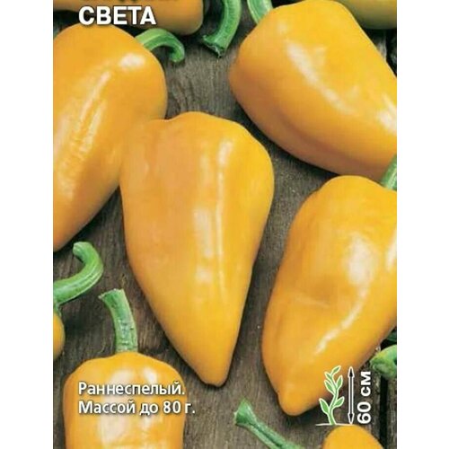 ���� ������������� ������ ����� �������� F1 �����