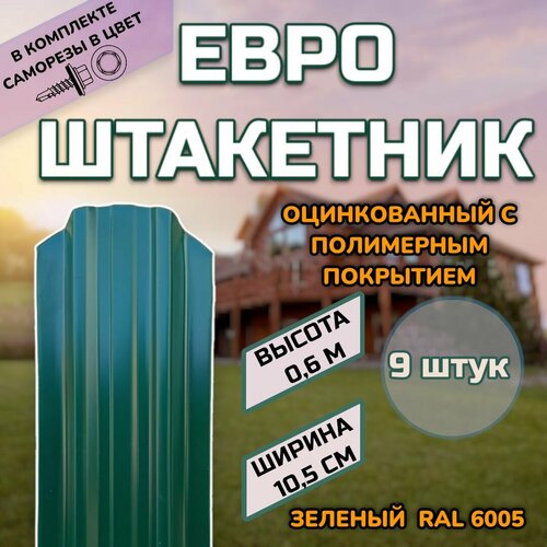 ���� ��������� ������������� �������� (������, ����������) 9 ����(������ � ���������)������������� �����, ���� RAL 6005 �������, ������ 0.6 �, ������ ������ 105��)�����
