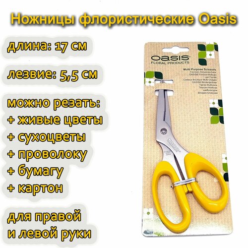      Oasis Multi Purpose Scissor, 17.  -     , -,   