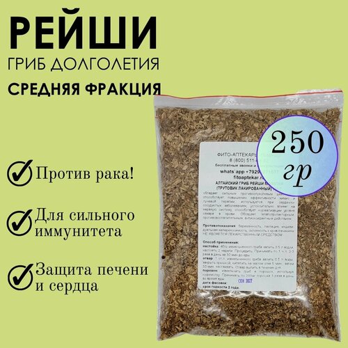 ���� ���� ����� 