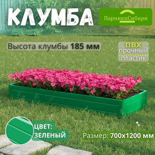 ���� ������� ������/������ �� ���, ��������, 