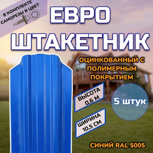 ���� ��������� ������������� �������� (������, ����������) 5 ����(������ � ���������)������������� �����, ���� RAL 5005 �����, ������ 0.6 �, ������ ������ 105��)�����