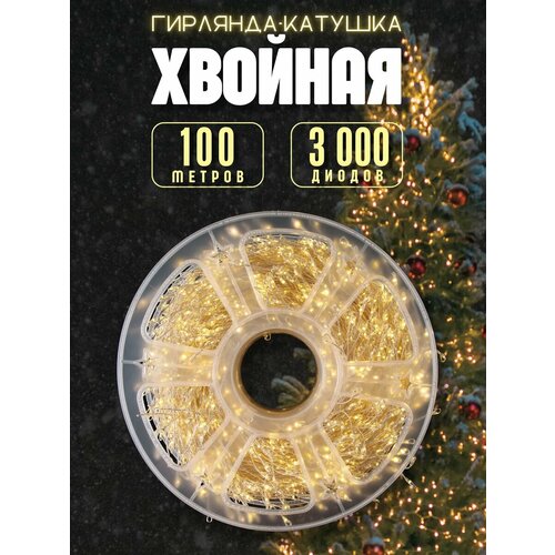 ���� ������� 