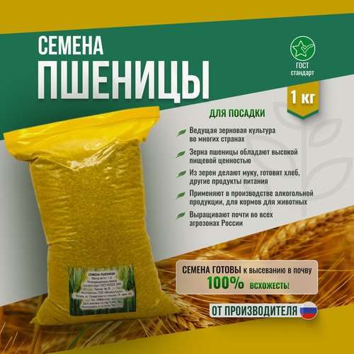 ���� ������ ������� ������������ 1��