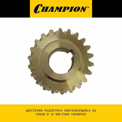      22  d 19 /51 Champion  -     , -  