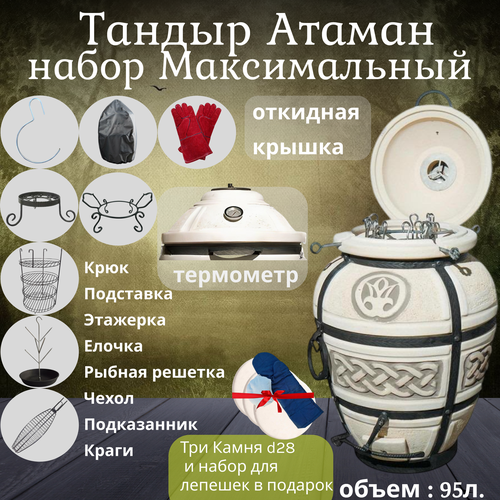 ���� ����� 