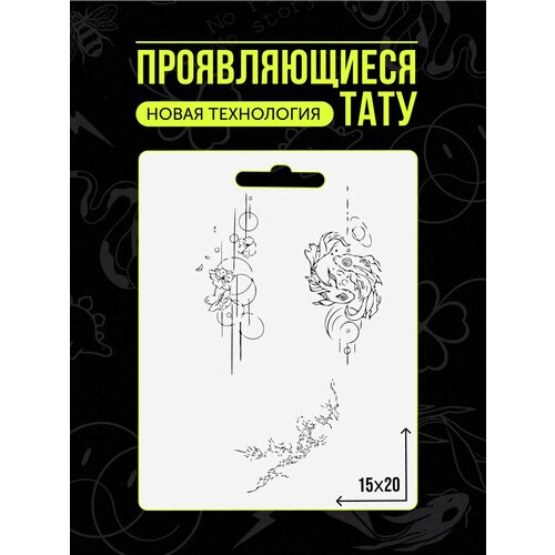 ���� ���� ���������� ��������������