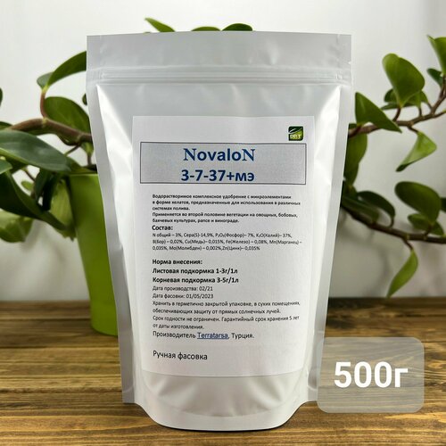     (Novalon) 03-07-37, 500  -     , -,   