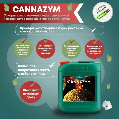   Canna Cannazym, 5 