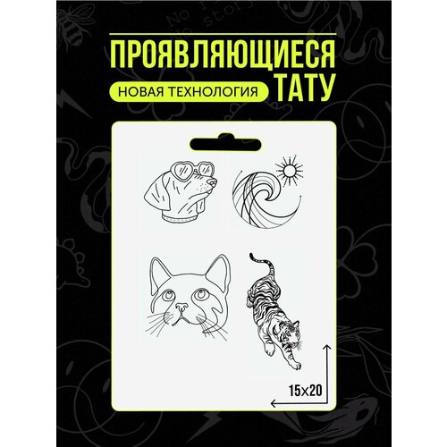 ���� ���� ���������� �������������� ��������